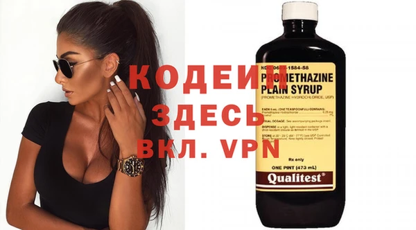 гашик Няндома