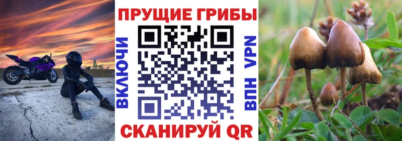 Купить закладки  Ворсма  Псилоцибиновые грибы мухоморы 
